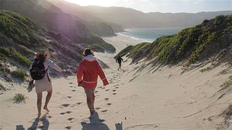 chanel expedition|Explore Channel Islands National Park .